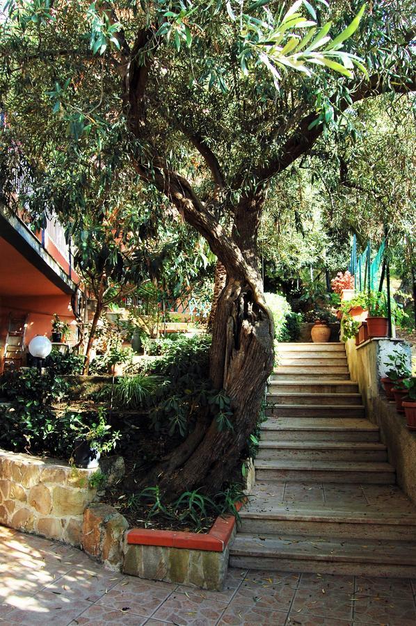 Delle Rose Bed & Breakfast Cefalu Exterior photo